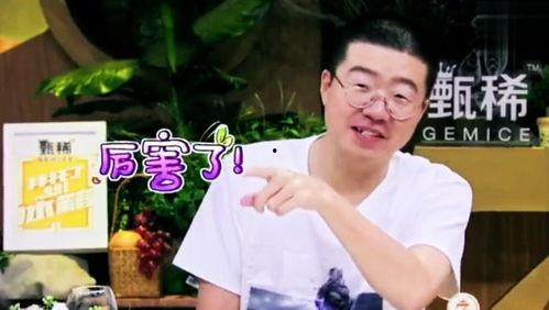 何炅老家爆料视频大全集,揭秘明星背后的温馨故事 第1张 何炅老家爆料视频大全集,揭秘明星背后的温馨故事 第1张